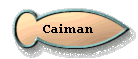Caiman