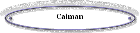 Caiman