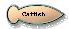 Catfish