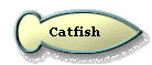 Catfish