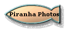 Piranha Photos